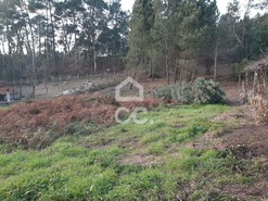 Terreno R�stico T0 - Guilhufe, Penafiel, Porto - Miniatura: 5/6