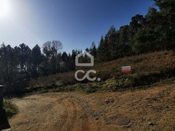 Terreno R�stico T0 - Id�es, Felgueiras, Porto - Miniatura: 1/17