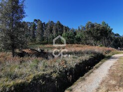 Terreno R�stico T0 - Id�es, Felgueiras, Porto - Miniatura: 3/17