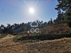 Terreno R�stico T0 - Id�es, Felgueiras, Porto - Miniatura: 6/17