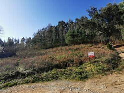 Terreno R�stico T0 - Id�es, Felgueiras, Porto - Miniatura: 13/17