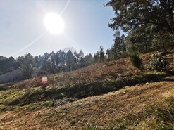 Terreno R�stico T0 - Id�es, Felgueiras, Porto - Miniatura: 15/17