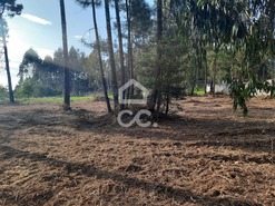 Terreno R�stico T0 - Ca�de de Rei, Lousada, Porto - Miniatura: 4/15