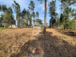 Terreno R�stico T0 - Ca�de de Rei, Lousada, Porto - Miniatura: 6/15