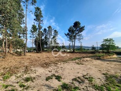 Terreno R�stico T0 - Ca�de de Rei, Lousada, Porto - Miniatura: 8/15