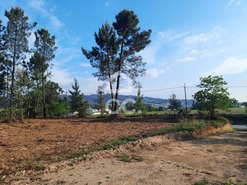 Terreno R�stico T0 - Ca�de de Rei, Lousada, Porto - Miniatura: 9/15