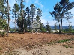 Terreno R�stico T0 - Ca�de de Rei, Lousada, Porto - Miniatura: 10/15