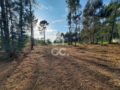 Terreno R�stico T0 - Ca�de de Rei, Lousada, Porto - Miniatura: 13/15