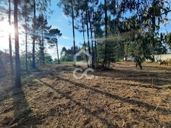 Terreno R�stico T0 - Ca�de de Rei, Lousada, Porto - Miniatura: 14/15