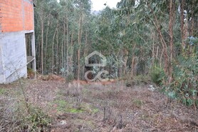 Terreno R�stico T0 - Lagares, Penafiel, Porto - Miniatura: 1/4