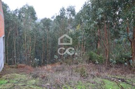 Terreno R�stico T0 - Lagares, Penafiel, Porto - Miniatura: 2/4