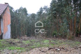 Terreno R�stico T0 - Lagares, Penafiel, Porto - Miniatura: 3/4