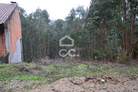 Terreno R�stico T0 - Lagares, Penafiel, Porto - Miniatura: 4/4
