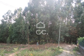Terreno R�stico T0 - Id�es, Felgueiras, Porto - Miniatura: 1/4