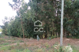 Terreno R�stico T0 - Id�es, Felgueiras, Porto - Miniatura: 3/4