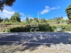 Terreno R�stico T0 - Silvares, Lousada, Porto