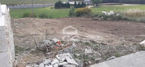Terreno R�stico T0 - Paredes, Paredes, Porto - Miniatura: 3/4
