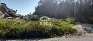 Terreno R�stico T0 - Cristelos, Lousada, Porto - Miniatura: 5/26