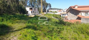 Terreno R�stico T0 - Cristelos, Lousada, Porto - Miniatura: 11/26
