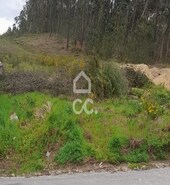 Terreno R�stico T0 - Cristelos, Lousada, Porto - Miniatura: 16/26