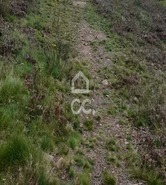 Terreno R�stico T0 - Cristelos, Lousada, Porto - Miniatura: 18/26