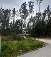 Terreno R�stico T0 - Cristelos, Lousada, Porto - Miniatura: 23/26