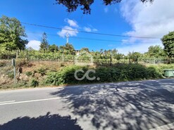 Terreno R�stico T0 - Silvares, Lousada, Porto - Miniatura: 3/13