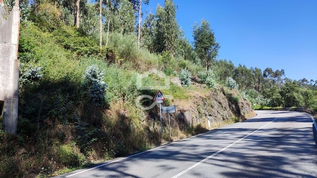 Terreno R�stico T0 - Sousela, Lousada, Porto - Imagem grande