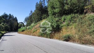 Terreno R�stico T0 - Sousela, Lousada, Porto - Miniatura: 1/9