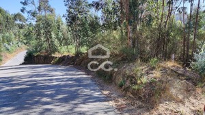 Terreno R�stico T0 - Sousela, Lousada, Porto - Miniatura: 6/9