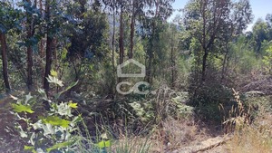 Terreno R�stico T0 - Sousela, Lousada, Porto - Miniatura: 7/9