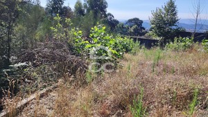 Terreno R�stico T0 - Sousela, Lousada, Porto - Miniatura: 9/9