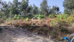 Terreno R�stico T0 - Silvares, Lousada, Porto - Miniatura: 6/7