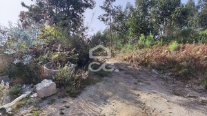 Terreno R�stico T0 - Silvares, Lousada, Porto - Miniatura: 7/7