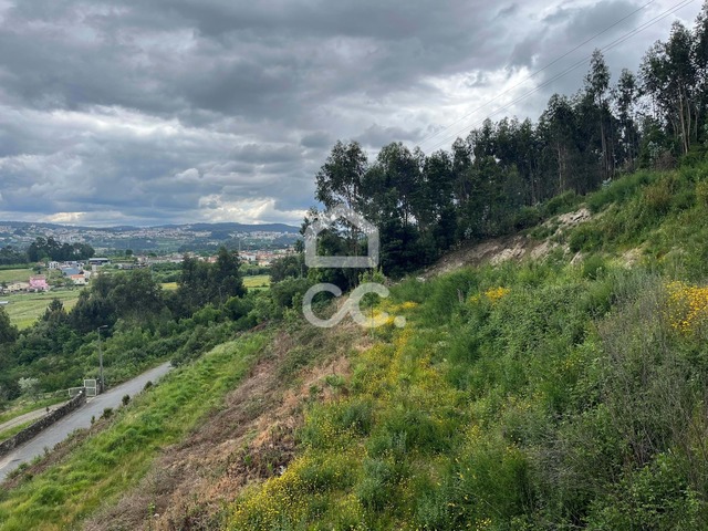 Terreno R�stico T0 - Bitaraes, Paredes, Porto - Imagem grande