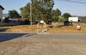 Terreno R�stico T0 - Valongo, Valongo, Porto - Miniatura: 2/5