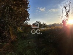 Terreno R�stico T0 - Bustelo, Penafiel, Porto - Miniatura: 2/20