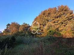Terreno R�stico T0 - Bustelo, Penafiel, Porto - Miniatura: 4/20