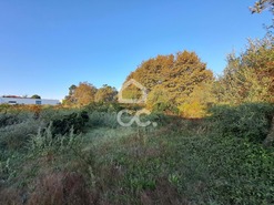 Terreno R�stico T0 - Bustelo, Penafiel, Porto - Miniatura: 5/20