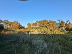 Terreno R�stico T0 - Bustelo, Penafiel, Porto - Miniatura: 9/20