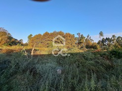 Terreno R�stico T0 - Bustelo, Penafiel, Porto - Miniatura: 10/20