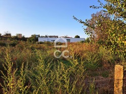 Terreno R�stico T0 - Bustelo, Penafiel, Porto - Miniatura: 11/20