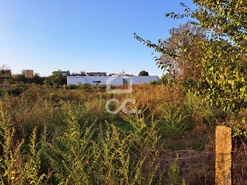 Terreno R�stico T0 - Bustelo, Penafiel, Porto - Miniatura: 12/20