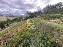 Terreno R�stico T0 - Bitaraes, Paredes, Porto - Miniatura: 7/16
