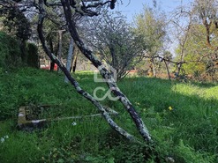 Quinta T6 - TERMAS DE S�O VICENTE, Penafiel, Porto - Miniatura: 4/24