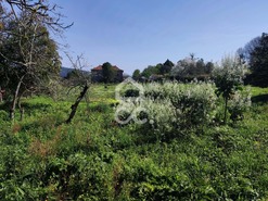 Quinta T6 - TERMAS DE S�O VICENTE, Penafiel, Porto - Miniatura: 15/24