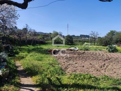 Quinta T6 - TERMAS DE S�O VICENTE, Penafiel, Porto - Miniatura: 19/24