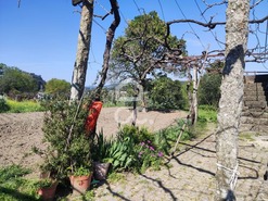 Quinta T6 - TERMAS DE S�O VICENTE, Penafiel, Porto - Miniatura: 20/24