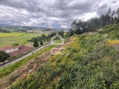 Terreno R�stico T0 - Bitaraes, Paredes, Porto - Miniatura: 7/16