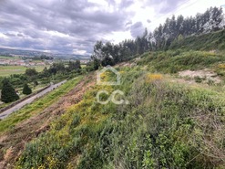 Terreno R�stico T0 - Bitaraes, Paredes, Porto - Miniatura: 8/16